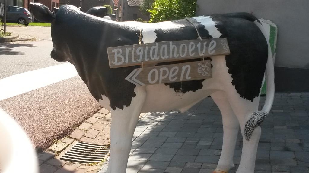 מאסטריכט Brigidahoeve מראה חיצוני תמונה